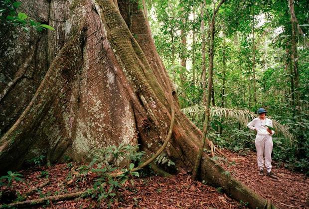 Ovo mesto je proglašeno jednim od najlepših na svetu! Nalazi se na par sati od Beograda, a priroda je nestvarna Ovo mesto je proglašeno jednim od najlepših na svetu! Nalazi se na par sati od Beograda, a priroda je nestvarna
