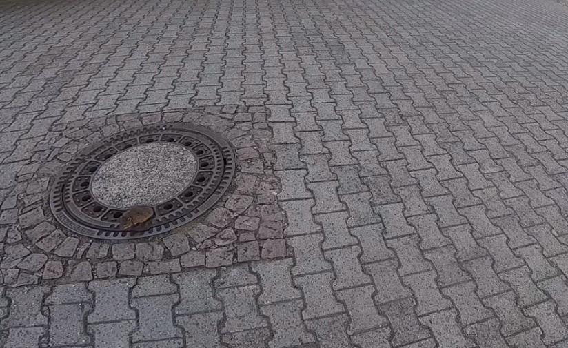 SIROTI MALI DEBELI PACOV: Toliko se ugojio da se zaglavio u šahti za ...
