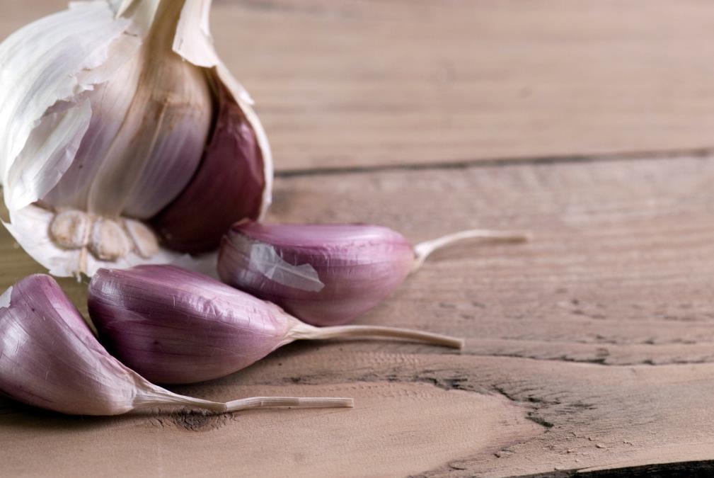 Ne suši se niti trune: Kako pravilno čuvati beli luk da ostane svež, čvrst i aromatičan mesecima