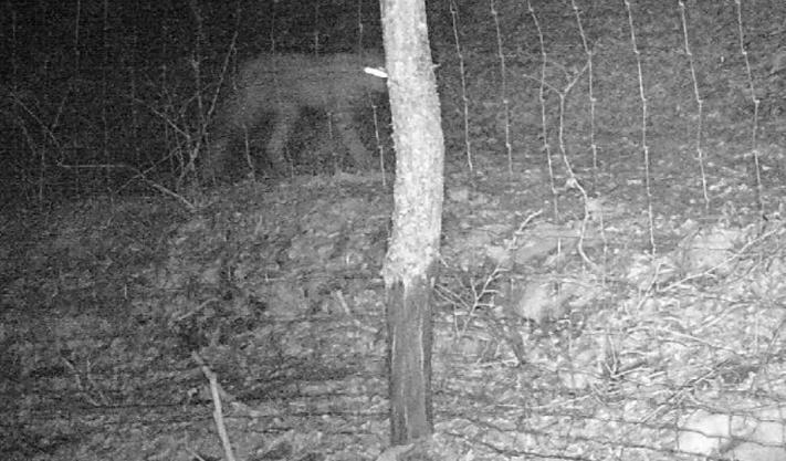 MLADIĆ USPEO DA SNIMI "BELOG DUHA" Mesecima proveo čekajući ga, FOTOGRAFIJE SU ZA NEVEROVATI: "Nisam mogao da verujem kad sam video, ostao sam ZAPANJEN!" (FOTO)