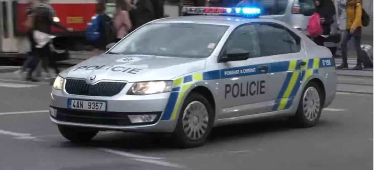 ODBEGLA NEONACISTKINJA UHAPŠENA U ČEŠKOJ: Osuđena na 18 meseci zatvora - u trenutku hapšenja bila obučena u mušku odeću i imala obrijanu glavu