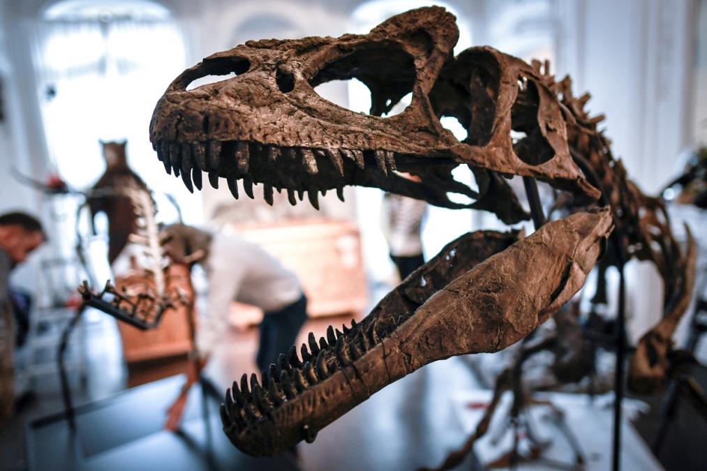 NAUČNICI KONAČNO REŠILI NAJVEĆU TAJNU SVEMIRA! Otkriveno šta je tačno zbrisalo dinosauruse sa lica Zemlje: Imali su jezivu nesreću! (VIDEO)