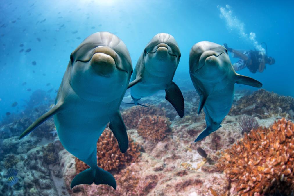 shutterstock-478929451.jpg?ts=2022-04-29T15:52:38