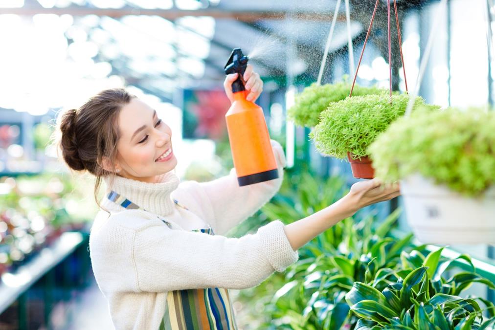 Pekarski kvasac je eliksir za biljke: Zalijte ih tri puta mesečno ovim rastvorom i gledajte kako bujaju