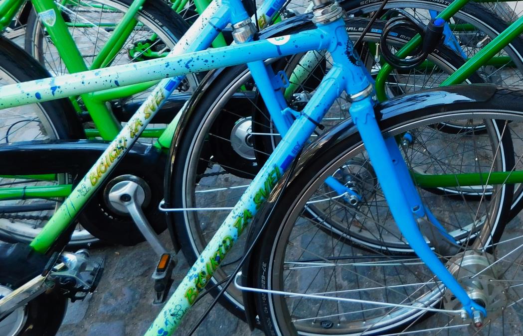 SJAJNA ZABAVA U ŠUMICAMA U SUBOTU: Otvoreni sokolski biciklistički kup nudi trke za sve uzraste na stazi bez saobraćaja