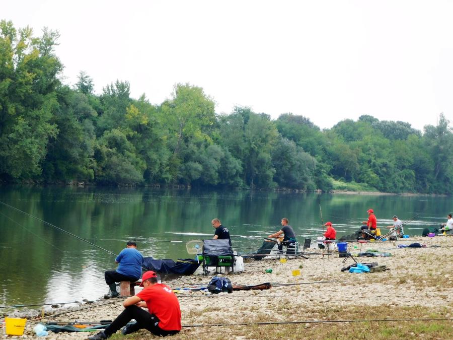 "MISLIO SAM DA U TAMIŠU NEMA NI KEDERA, A ONO NEMAN" Šok ulov kod pančeva: Ribolovac izvukao GIGANTA na ušću Tamiša u Dunav, OVA SLIKA IZAZIVA NEVERICU (FOTO)