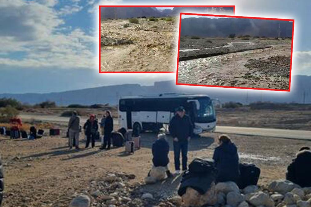 TURISTI VEROVALI DA GLEDAJU "ANTIČKO ČUDO" I DAVALI MU PET ZVEZDICA Kada su došli stručnjaci i policija, otkrivena je NEVEROVATNA ISTINA