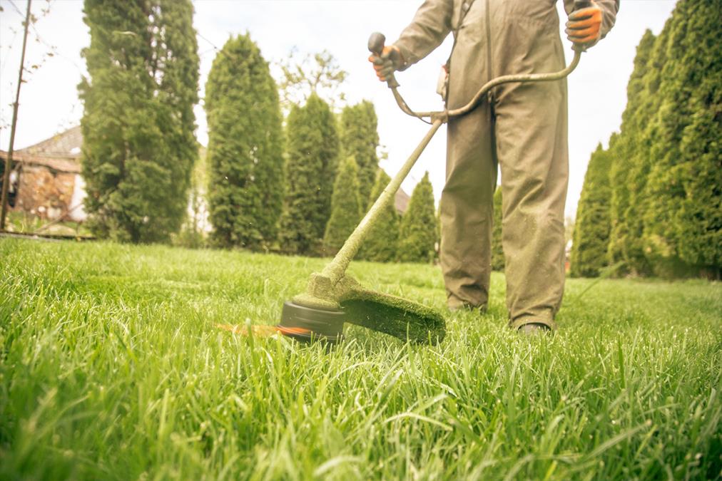 Zbog ovoga vam travnjak izgleda sprženo i uništeno: Najveće greške koje svi prave pri košenju trave!