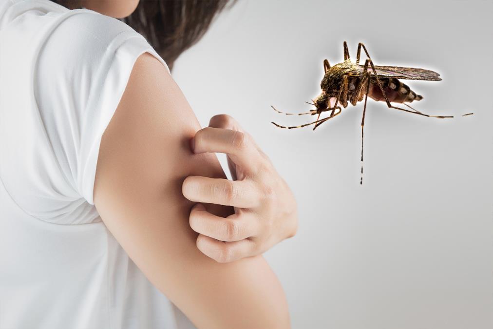 U ovom delu Srbije registrovana prva 3 slučaja groznice Zapadnog Nila: Dr Medić otkriva koji su simptomi