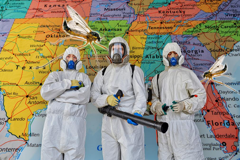 Velike epidemije nisu prošlost: Zašto bi malarija trebalo da zabrine i Evropu, objašnjava naučnik sa Oksforda