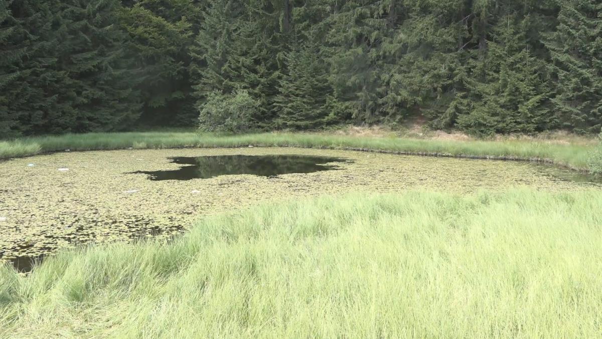Mistični biser srpske planine: Došli su na ovo jezero na Goliji, a onda su svi nestali bez traga