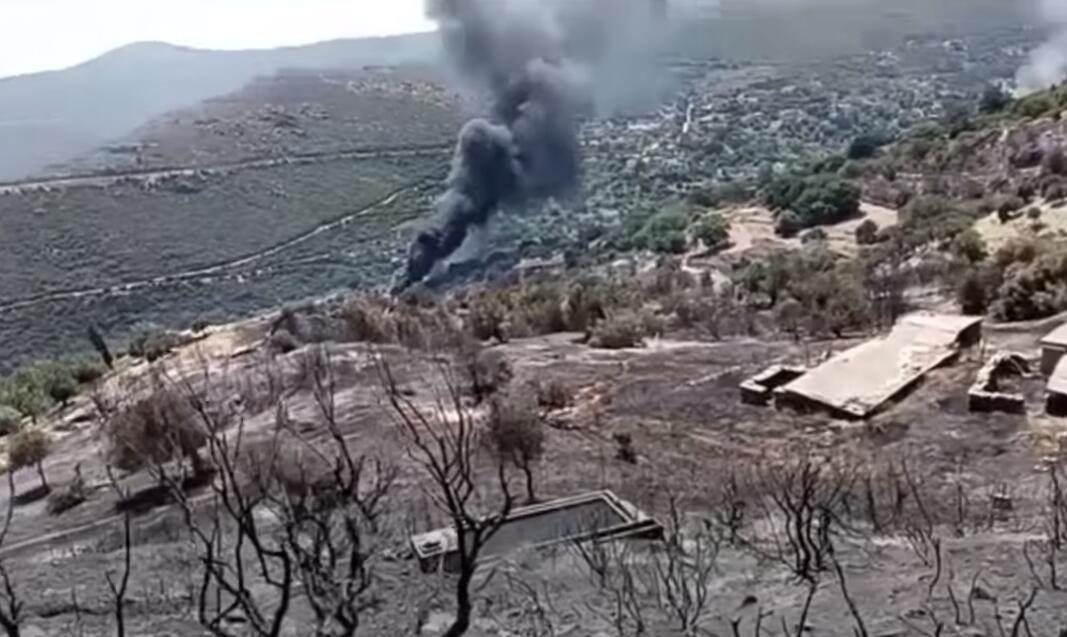 DRAMA NA POZNATOM OSTRVU: Na Eviji izbio požar, u gašenju učestvuje 8 aviona i 3 helikoptera