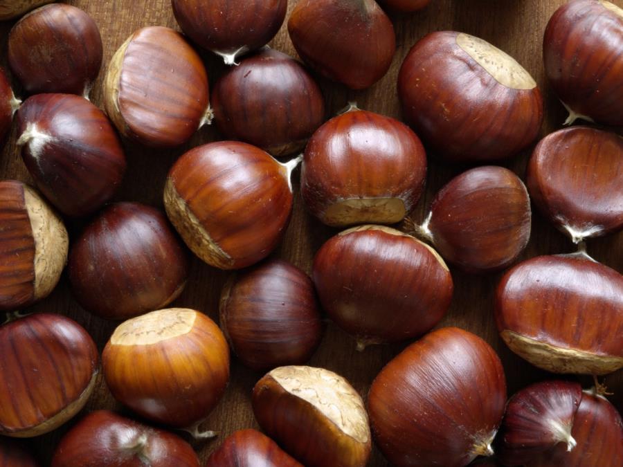 Nije svaki kesten za jelo: Jedna vrsta je otrovna, a druga je puna vitamina i minerala