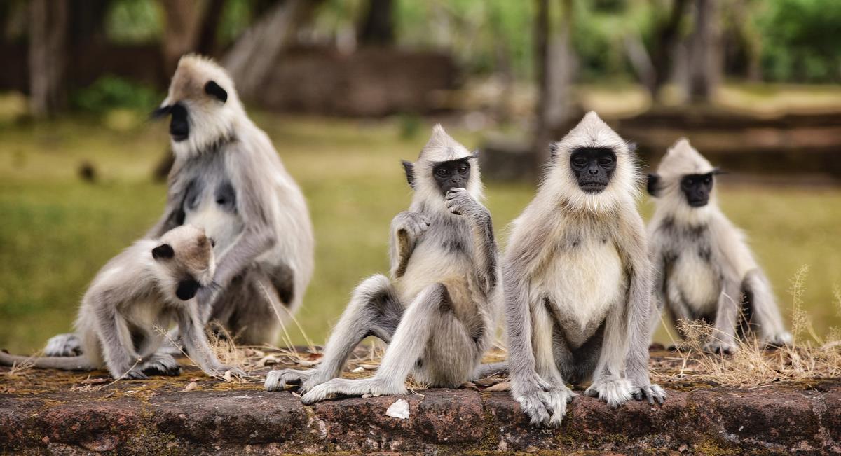 shutterstock-2294499291jpg-2000.jpg?ts=2023-11-16T13:56:38