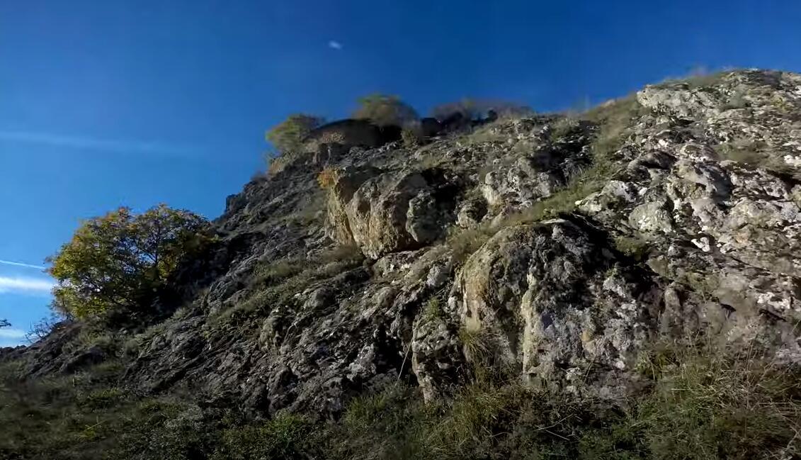 NESVAKIDAŠNJI PRIZOR SA SRPSKE PLANINE BOGATE ZLATOM! Pogledajte kakav je snimak nastao u netaknutoj prirodi Rogozne: Iz šume izronili neočekivani gosti! VIDEO