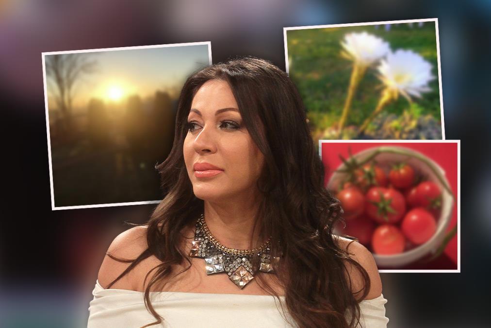 U JEKU POPULARNOSTI NESTALA SA SCENE: Evo gde se skrivala Danijela Vranić nakon što je napustila estradu, ovde je pronašla mir (FOTO)
