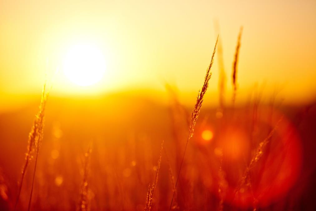 profimedia0161427531.jpg?ts=2024-06-20T17:25:05