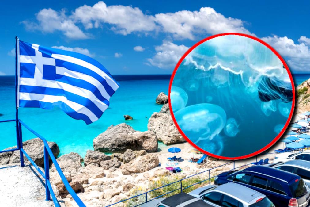 "LEKOVI SU OBAVEZNI, PRVA DVA DANA NEMA SPAVANJA" Turisti u Grčkoj u opasnosti, kupači u panici zbog prizora iz plićaka - "Bolje da ne znate kakav je osećaj"