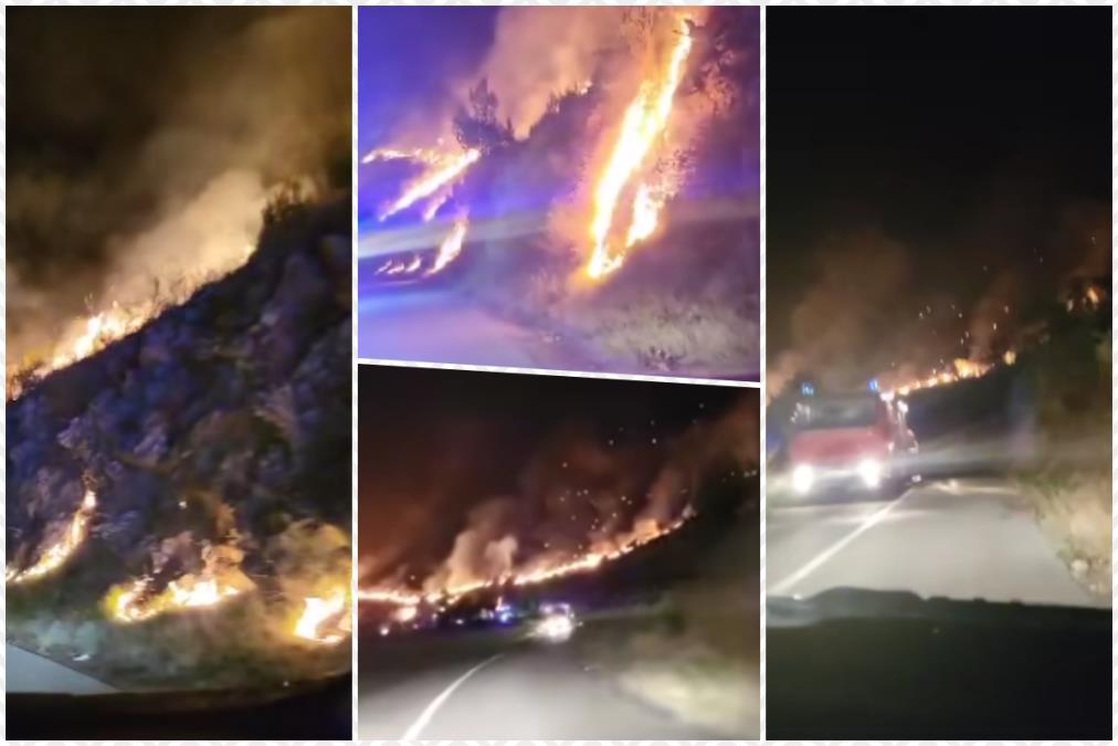 VELIKI POŽAR KOD SPLITA Vatra progutala hektare borove šume, na terenu više od 60 vatrogasaca sa 20 vozila