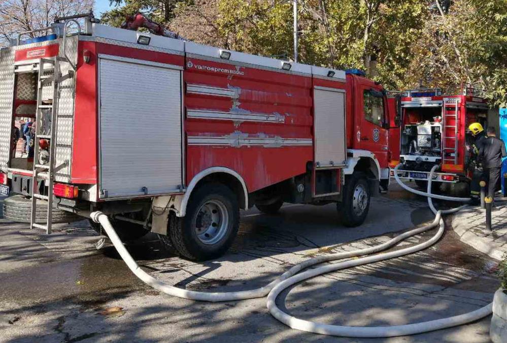 VELIKI POŽAR U KOVILJU: Gori trska, trava, nisko rastinje i strnjište na površini od oko 200 kvadrata (FOTO)