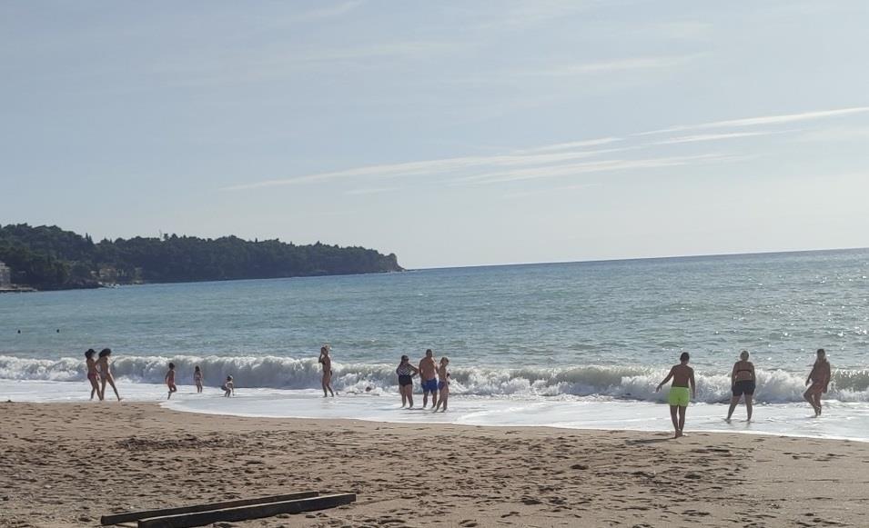 Turisti u panici zbog jezive meduze u Jadranu! Pojavila se kod omiljene plaže, svi pitaju isto FOTO