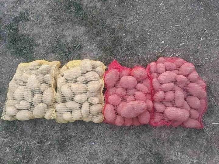 Iskoristite je u svom domaćinstvu: Mrežicu od krompira svi bacaju, a zapravo nam može rešiti tri najveća problema u kuhinji