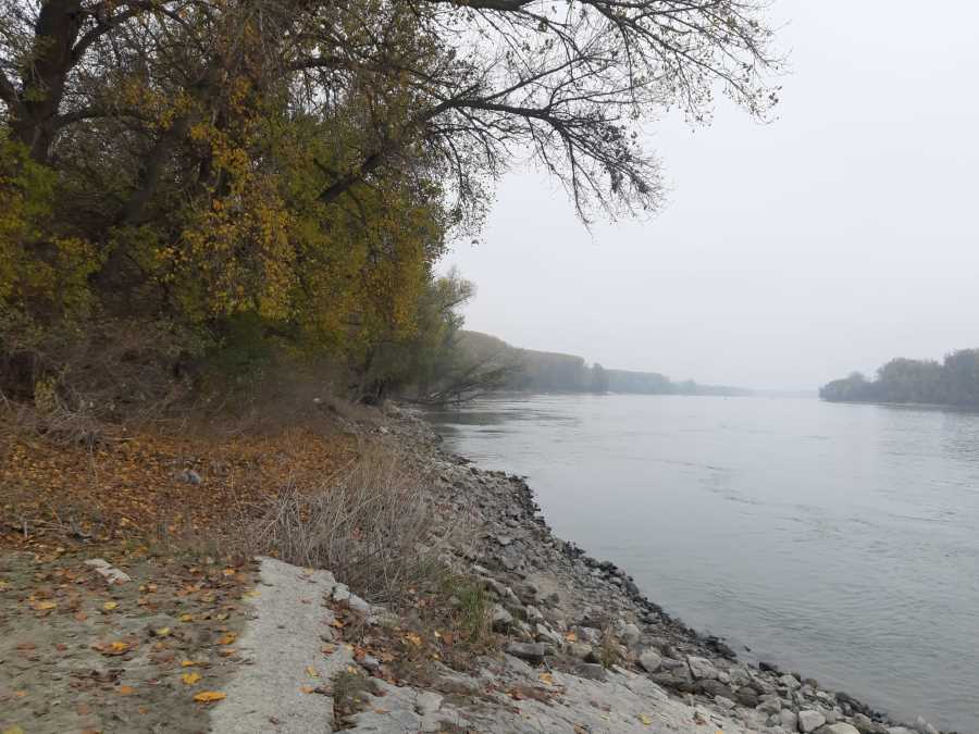 WhatsApp-Image-2024-11-11-at-13.47.08_f17f0779.jpg?ts=2025-06-01T07:51:54