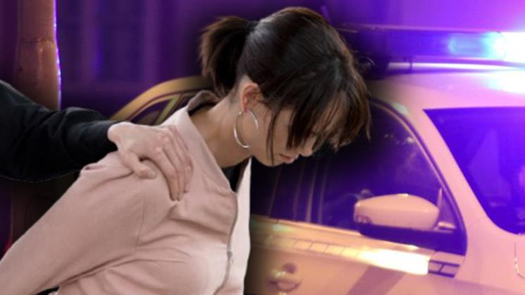 ŠEST MESECI ZATVORA ZA KRAĐU VISKIJA Žena pričinila štetu od više hiljada dinara u Novom Sadu, a ovo je odluka suda