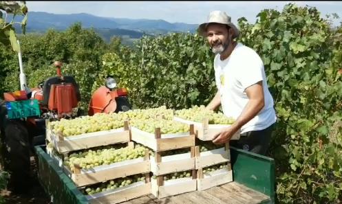 Zbog ovoga je Kubura batalio centar Beograda i otišao na selo: Sad gaji svinje i pravi vino i rakiju, a evo zašto ima neobičan nadimak
