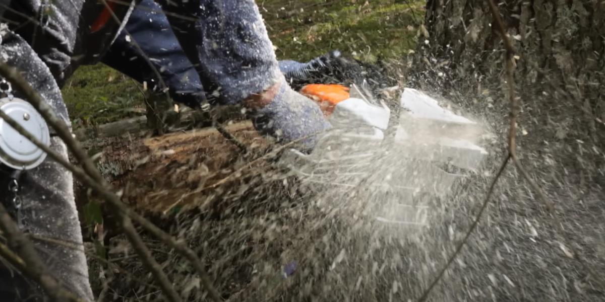 Screenshot-2025-03-03-182043.jpg?ts=2025-03-03T18:21:28