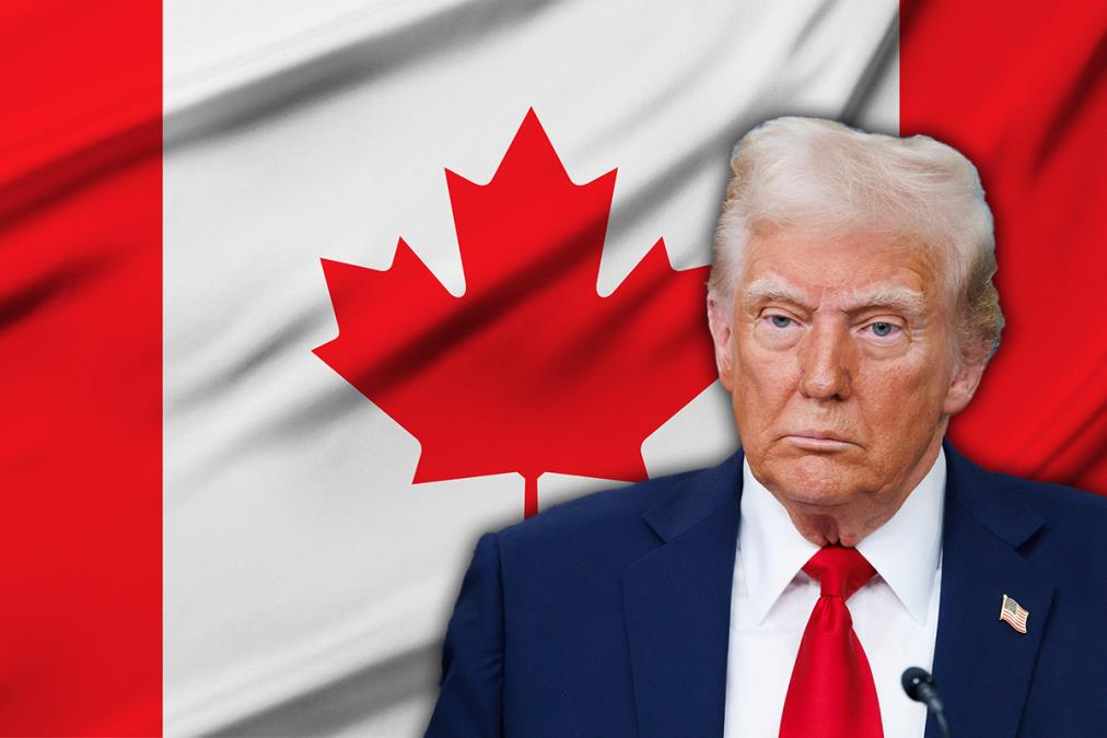 tramp.jpg?ts=2025-08-07T09:57:05