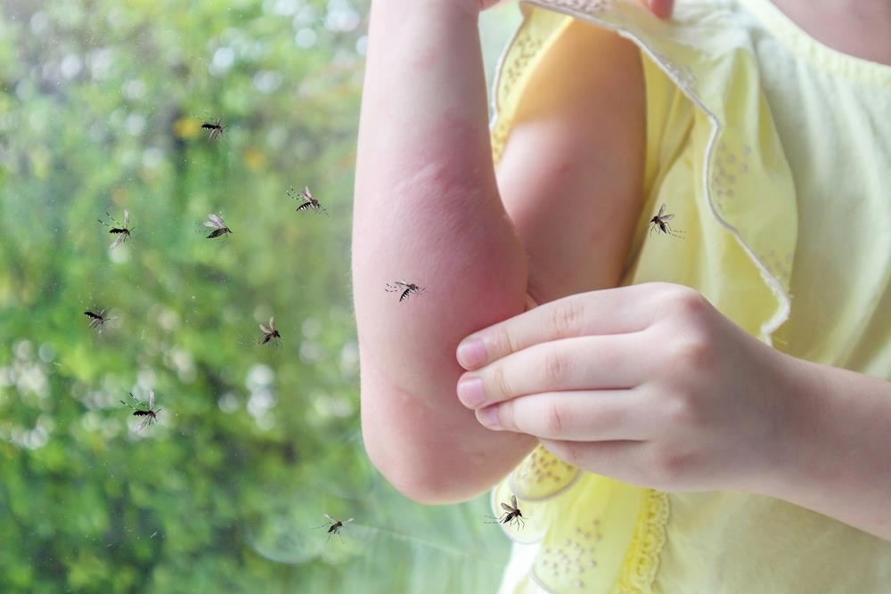 VIRUS ZAPADNOG NILA POTVRĐEN U SRBIJI Ovo je sve što treba da znate o zarazi: Kako se prenosi, koji su simptomi, ko je najugroženiji i možemo li se zaštititi?