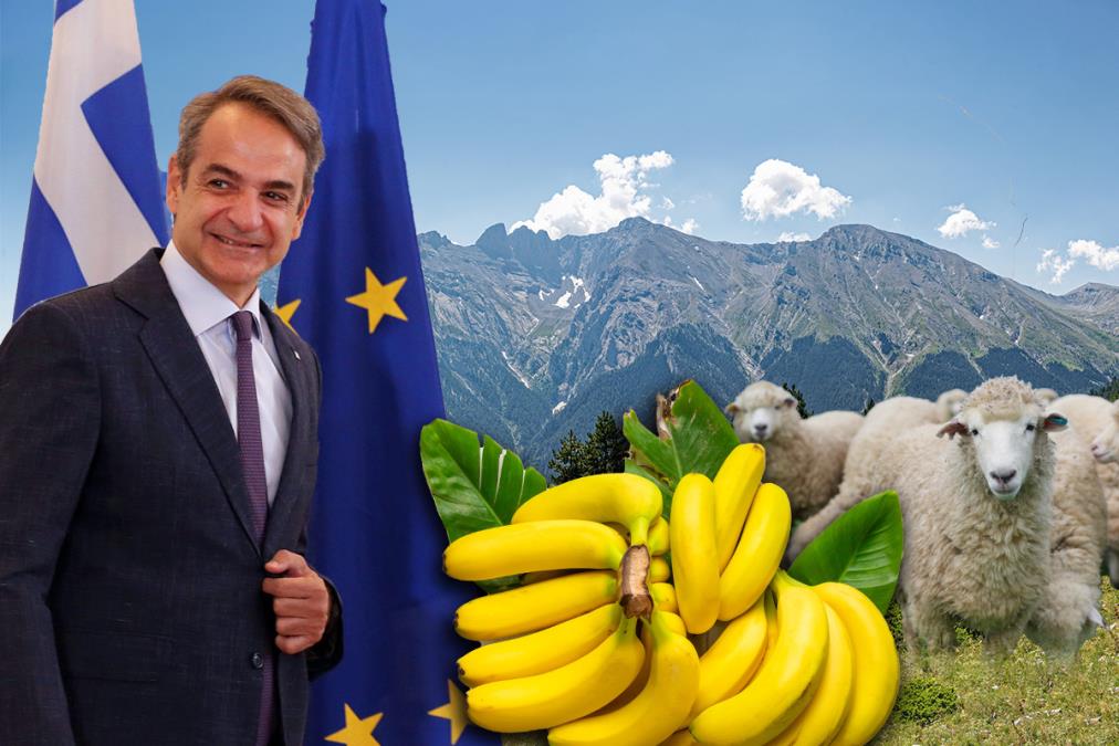 micotakis.jpg?ts=2025-07-02T08:29:44