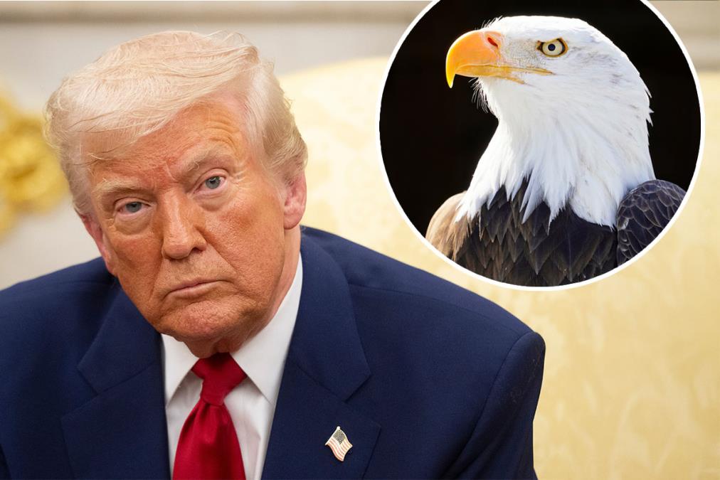 Donald-Tramp.jpg?ts=2025-07-03T20:30:56