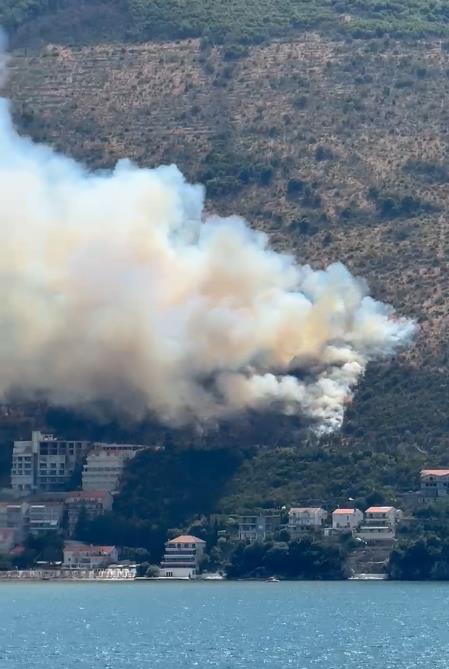 BUKTI POŽAR NA CRNOGORSKOM PRIMORJU: Ugrožene kuće i zgrade, strašni prizori sa lica mesta (FOTO/VIDEO)