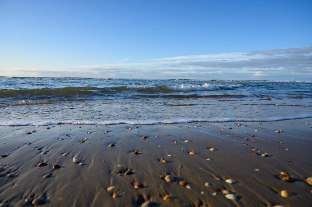 shutterstock_1633864759-1-.jpg?ts=2025-07-18T18:17:21