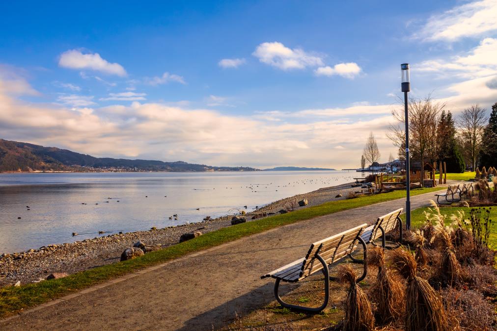 shutterstock_1592078080.jpg?ts=2025-07-18T20:22:53