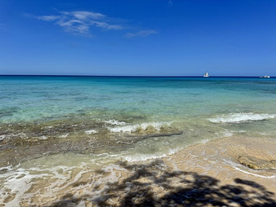 IMG_7293.jpg?ts=2025-07-18T20:47:18