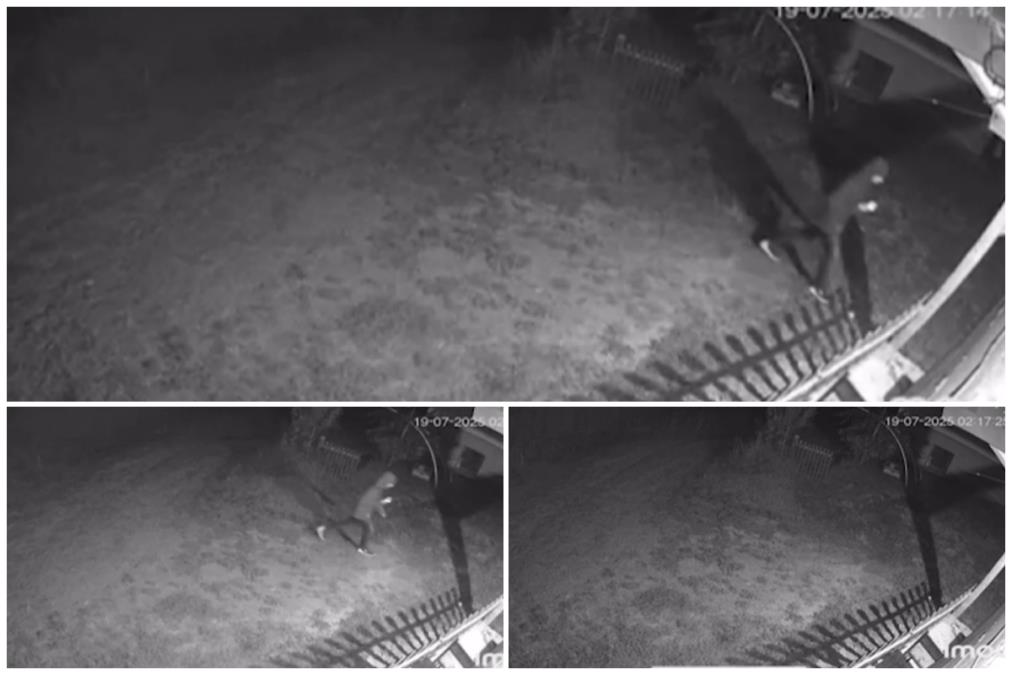 SNIMAK NAPADA NA IMANJE DRAGANA J. VUČIĆEVIĆA Sa kapuljačama na glavi upali u dvorište, opkolili kuću sa svih strana, krenuli da razvaljuju vrata (VIDEO)