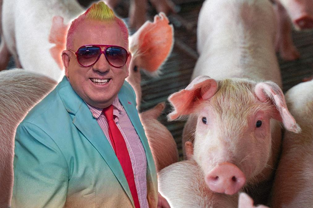 DJ KRMAK OTKAZAO NASTUP U BIJELJINI ZBOG SVINJSKE KUGE! Muzičar je hitno reagovao kako bi zaštitio publiku i životinje