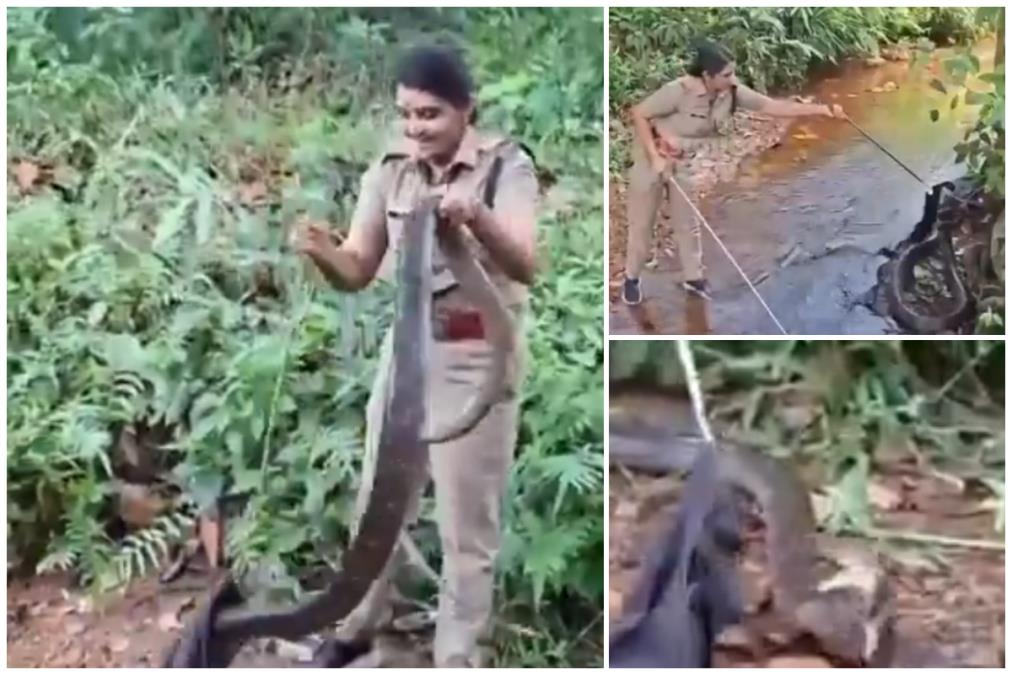 zmija.jpg?ts=2025-07-22T15:51:44