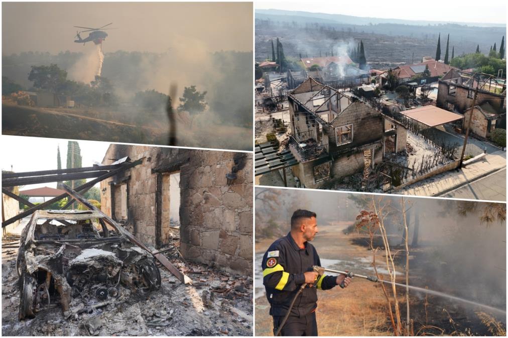 kipar.jpg?ts=2025-07-24T15:57:08