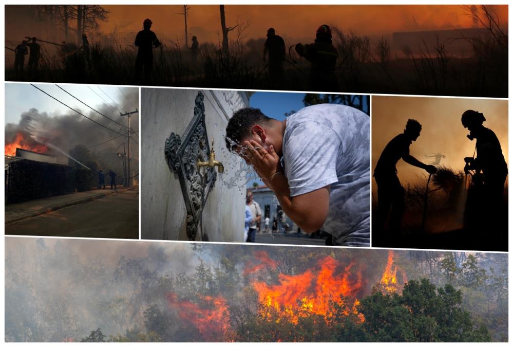 collage.jpg?ts=2025-07-28T08:47:20