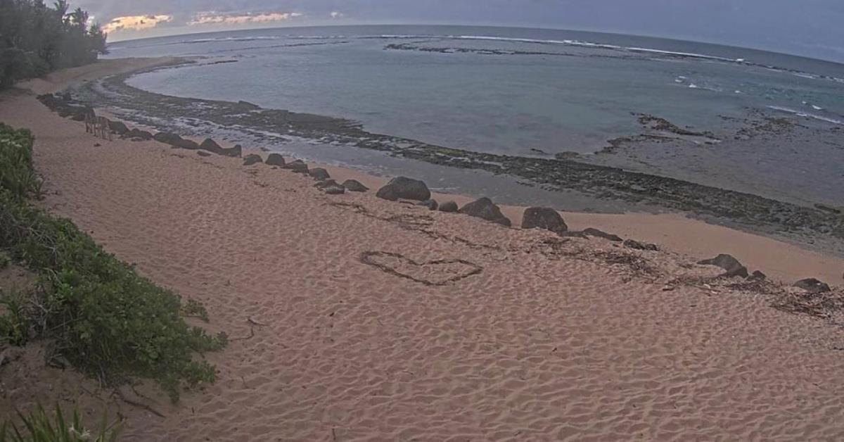 Havaji.jpg?ts=2025-07-30T10:09:32