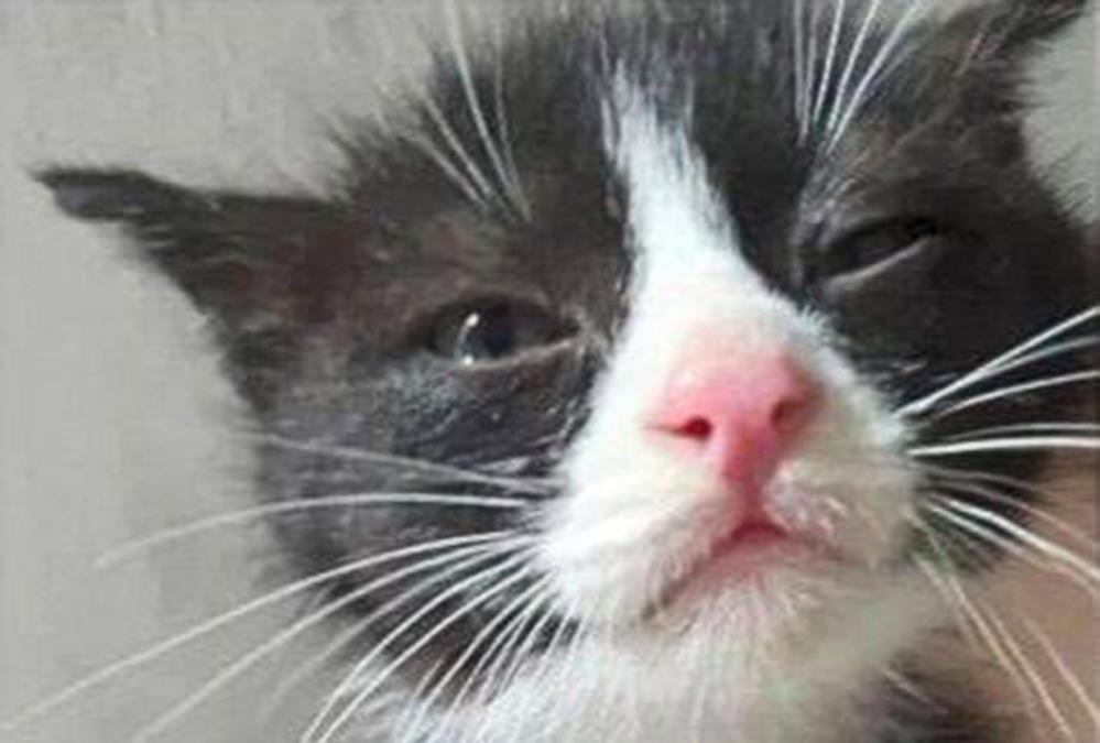 518362687_24011551998482620_2403647536552308595_n222.jpg?ts=2025-08-04T09:09:28