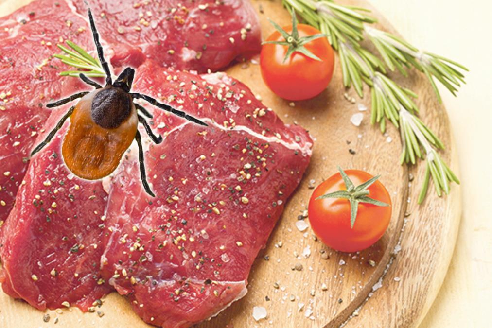 Prenose ga ovi paraziti, a simptomi vidljivi tek nakon tri meseca! Prvi registrovan slučaj alergije na crveno meso u Srbiji - sve o uzrocima i lečenju zaraze!