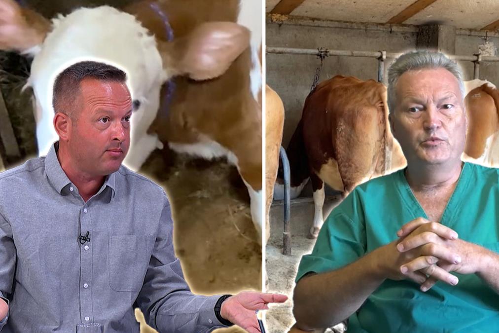 Zarazne bolesti među životinjama šire se regionom! Veterinari apeluju na građane: Antraks smrtonosni virus dolazi iz Hrvatske a prenosi se i na ljude!
