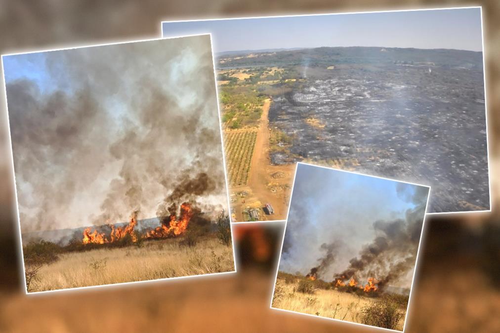 (VIDEO) KLADOVO U PLAMENU, GORI 100 HEKATARA! Srpski vatrogasci uspeli da ODBRANE DESETINE KUĆA Vatra i dalje besni: Helikopteri i spasioci u borbi za svaki dom