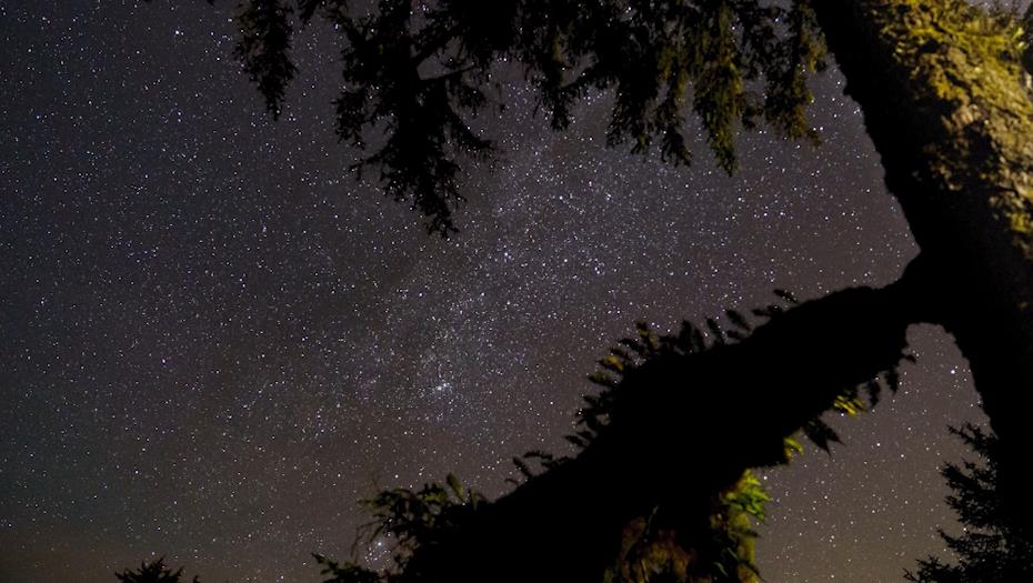 Večeras nas očekuje meteorska kiša Perseida! Ljubitelji nebeskih pojava imaće priliku da uživaju u nerealnom prizoru