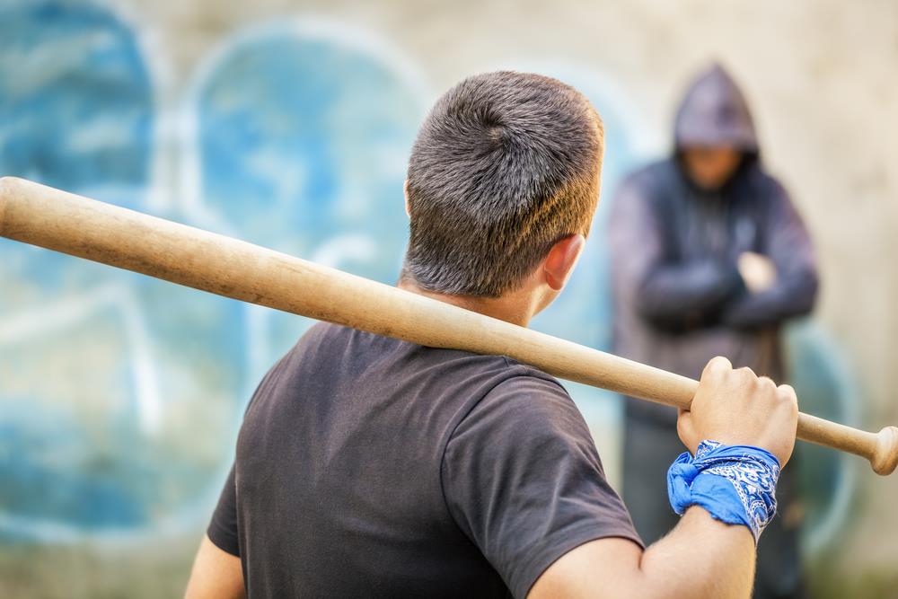 BRUTALNO NASILJE MEĐU MLADIMA SVE VEĆI PROBLEM: Psiholog upozorila na znakove koji mogu da otkriju put ka kriminalu: "Roditelji moraju da prate šta dete radi"